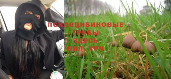 бутират Майский
