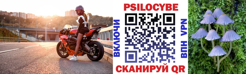 Купить  Никольск  Псилоцибиновые грибы мухоморы 